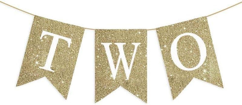 NISEVAN Pre-Strung Two Banner Gold Glitter High Chair Banner for Kids 2nd Birthday