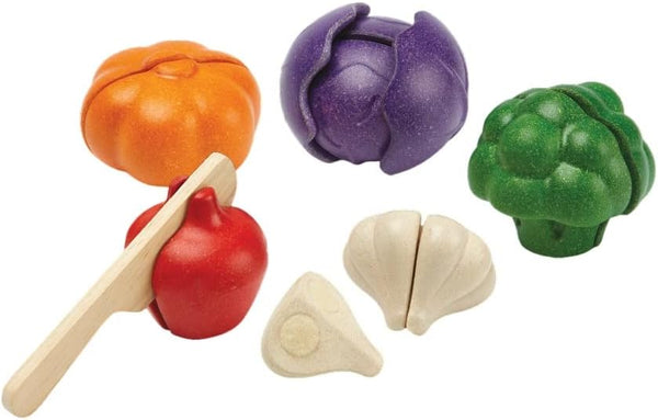 PLAN TOYS Plantoys - Eco-friendly Educational Toy, Multi-Color (3431)