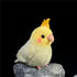 Nohito 4.9'' Yellow Cockatiel Parrot Plush Toy, Stuffed Animal, Cute Little Bird Gifts for Kids