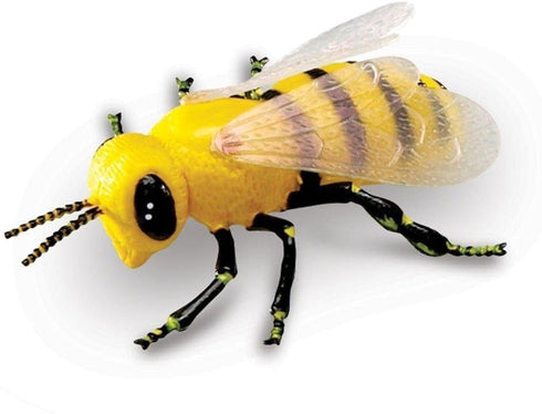 3+ Learning Resources Jumbo Insects - Animal Toys for Kids, Toddler Preschool Science, Fine Motor Skills, Gifts
