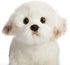 HollyHOME 13 Inch Bichon Frise Plush Puppy Stuffed Animal, Realistic Maltese Dog Toy Gift for Kids