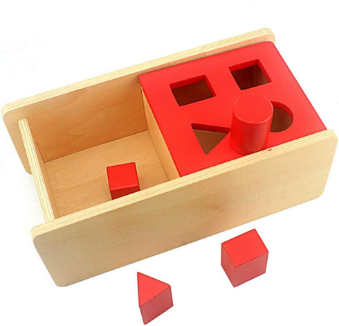 DANNI Montessori Baby Imbucare Box with Flip Lid, 4 Shapes Wood Learning Educational Toy for Children