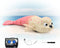QUN XING Amphibious Remote Control Seal - 2.4Ghz Rechargeable Pool & Land