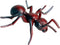 Realistic Red Ant Figurines, Insect Toy for Science Projects, Early Educational Birthday Toys for Kids 3-5