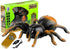 Liberty Imports RC Moving Tarantula Spider - Kids Wireless Remote Control Toy for Halloween Pranks