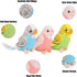 3 5.5 inches, Pcs Budgerigar Plush Toy, Parakeet Plush Toy, Budgie Soft Toy, Bird Stuffed Animal for Kids, Blue