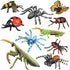 Insect Bug Toy Figures - 5pcs Realistic Ladybug Spider Action Models for Toddlers Educational Learning Gifts
