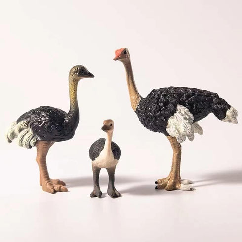 Gemini&Genius Ostrich Animal Action Figure Toys, Jungle Animal Playset Gift, Educational Cake Toppers for Kids Ages 3+