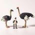Gemini&Genius Ostrich Animal Action Figure Toys, Jungle Animal Playset Gift, Educational Cake Toppers for Kids Ages 3+