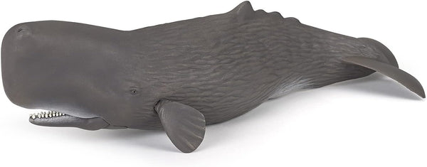 Papo - Realistic Sperm Whale Figure - Ages 3+ - Marine Life