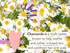 Babo Botanicals Calming Lavender Body Lotion - Relaxing Chamomile & Lavender - Vegan- For all ages- Scented