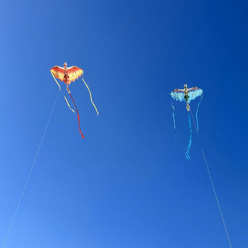 Mint's Colorful Life Dragon Kite for Kids & Adults, Best Beach Kites for Beginners, Easy to Fly, 300ft Kite String