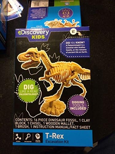 Tedco Discover T-Rex Excavation Kit for Kids