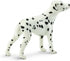 Safari Ltd Best in Show Dalmatian