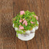 4 Pcs Dollhouse Potted Plants, Miniature Artificial Bonsai & Flowerpot for 1:12 Dollhouse Decor, Mini Plant Kit