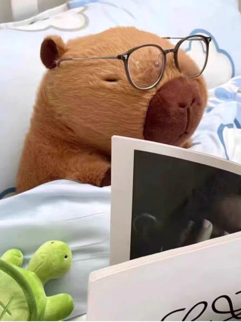 Capybara Stuffed Animal - Cute Plush Toy Birthday Gift for Kids (9 Inch, Dark-brown)