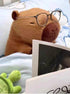 Capybara Stuffed Animal - Cute Plush Toy Birthday Gift for Kids (9 Inch, Dark-brown)