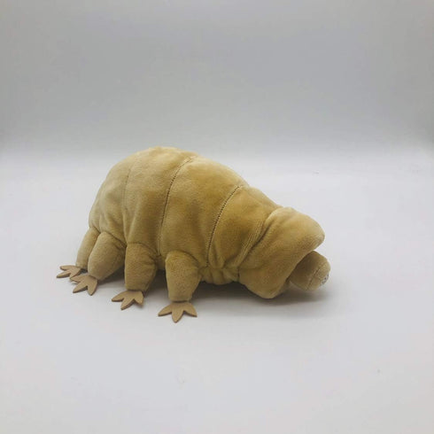 TAMMYFLYFLY Lifelike Tardigrade Plush - Water Bear Stuffed Animal Doll