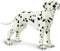 Safari Ltd Best in Show Dalmatian