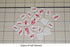 Japanese Shogi Chess - Magnetic Board Game, Sho-gi, Jiangqi, Japanese Xiangqi