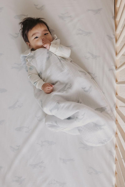 52" 28" 8" Pehr Crib Sheet, Follow Me Whale | Breathable Brushed Organic Cotton for Soft Sleep | Fits Standard Crib