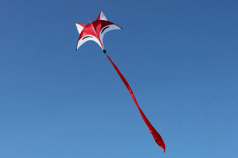 HENGDA KITE Red Fox Kite for Kids, Outdoor Fun Sports Single Line Kite with Flying Tools