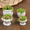 4 Pcs Dollhouse Potted Plants, Miniature Artificial Bonsai & Flowerpot for 1:12 Dollhouse Decor, Mini Plant Kit