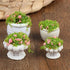 4 Pcs Dollhouse Potted Plants, Miniature Artificial Bonsai & Flowerpot for 1:12 Dollhouse Decor, Mini Plant Kit
