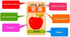 New Chinese English Language Learning Wooden Blocks, Domino Children's Educational Product, 100pcs