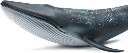 Solid Sea Animals Educational Toys - Simulation Ocean Shark Sea Creature Toy for Toddlers Kids (Blue Whale)