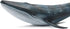 Solid Sea Animals Educational Toys - Simulation Ocean Shark Sea Creature Toy for Toddlers Kids (Blue Whale)