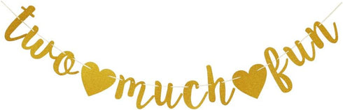 Two Much Fun Banner, Fun Sign for Baby's/Kid's 2nd Birthday Party Supplies, Gold Decorations