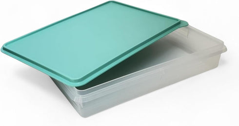 Tupperware Snack-Stor Large in Mint Ice Cream Color