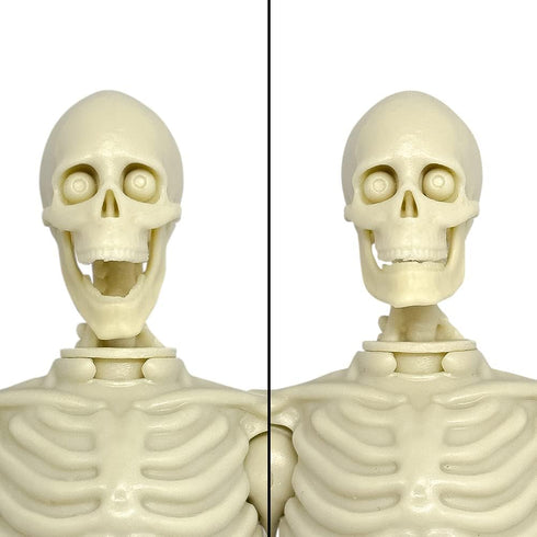 8 Inch Figures Toy Company Super Articulated Skeleton Action Figure