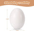 Eggs,3.1x2.3 inches 4 Count Large White Wooden Wooden Eggs in Carton for Painting, Crafts, and Dyeing, Food Toys