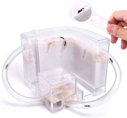 NAVAdeal Sand Ant Farm with Connecting Tubes, Habitat Educational Science Kit Toy for Kids & Adults