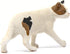 Schleich Farm World - Realistic American Shorthair Cat Toy - Brown and White - Ages 3+