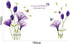 Removable Purple Lovely Lily Flowers Wall Stickers - DIY Flower Vines Art Quotes and Butterfly Decal for Home