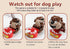 Buster Bone Game by Zerodis - Funny Tricky Toy Dog Board Game for Party