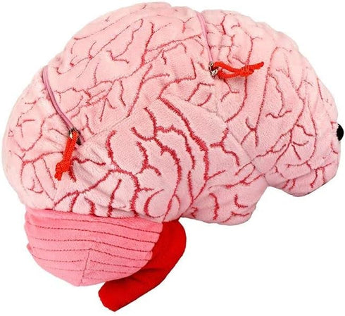 GIANTmicrobes Deluxe 9.5" Brain Plush Toy, Gifts for Neurologist, Brain Surgery Recovery, Neuroscience Gifts