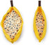 Double Bananagrams Word Game - For Up To 16 Players