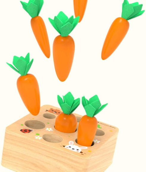Ancaixin Montessori Toys for Babies 6-12 Months, Educational Carrot Harvest Toy, Wooden Shape Sorting Puzzle Gifts