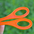Green Catcher Plastic Outdoor Clamp with Tweezer for Insect Bug Scissors, Gifts for Sports and Outdoor Play