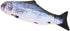 JULAN 3D Giant Soft Fish Cushion Pillow - 31 Inch Salmon Plush Toy for Home Decoration Gift