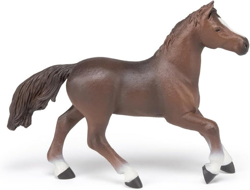 Papo Hand-Painted Figurine - Horses, Foals and Ponies - Anglo-Arab Mare Figure 51075 - Collectible for Children