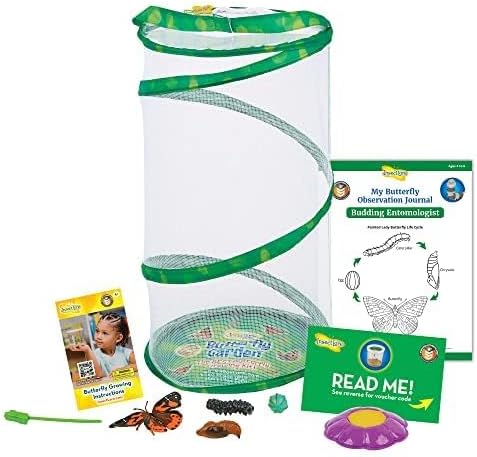 18 Inch 5 Insect Lore Giant Butterfly Garden with Voucher | Habitat | Life Cycle Figurines Included | Voucher to Redeem