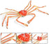 Set, Gemini&Genius King Crab and Spider Crab Toys Marine Animals Toys Sea Animal Action Figures Gift Great