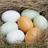 Eggs-6 Masterproofing Wooden Fake Eggs, Easter Pieces (White)