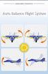 Vecktodisy RTF,2 Remote Control Airplane for Kids,RC Airlane Channels RC Plane with Gyro, Durable EPP Foam RC Jet Toys