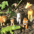 7" HABA Little Friends Crocodile - Chunky Plastic Zoo Animal Toy Figure